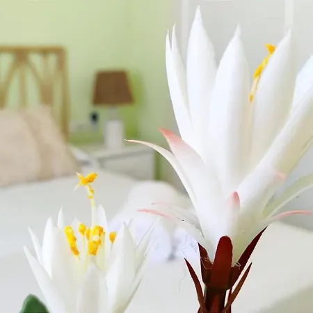 Apartamento Mediterraneo By Costa 아파트